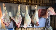 Мясо лошади