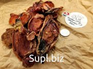 Семенники бараньи для крупных пород