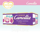 Camellia