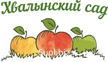 Яблочный сок прямого отжима