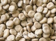 Люпин белый 1 кг