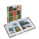 The Large Illustrated Dictionary "Cedar"