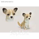 Мягкая игрушка «Собака породы Чихуахуа», 31 см