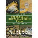 Земноводные и пресмыкающиеся России. Дунаев Е., Орлова В.