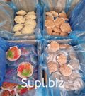 Ракушки Гребешок по Шанхайски с мидией