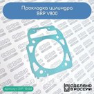 Прокладка цилиндра BRP V-800 (420630210)