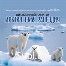 Витаминный напиток «Арктическая рапсодия»