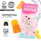 Мармелад мороженое «Наслаждайся жизнью», 1 шт. × 14 г