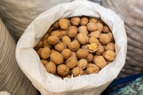 Грецкий орех в скорлупе – Чили – мешок 25 кг