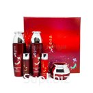 JIGOTT DAANDAN BIT PREMIUM RED GINSENG 3SET Набор для лица с красным женьшенем  3SET