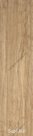 Керамогранит NL WOOD OLIVE 225Х900 СТРУКТУРИРОВАННЫЙ (РЕЛЬЕФНЫЙ)