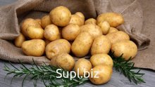 Картофель