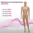 Мужской манекен h185; 01, на подставке, 94/75/95, телесный