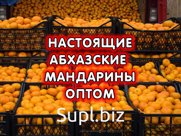 Абхазские мандарины оптом