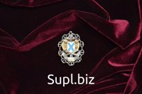 Нагрудный знак DSC_0659