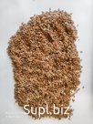 Продам зерновые и масличные культуры на экспорт