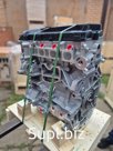 Двигатель Ford AODA