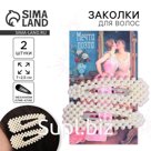 Заколки для волос «Мечта поэта», 2 шт, 7х2,5 см