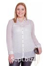 Блуза V17-a279-31/1 Lady Sharm