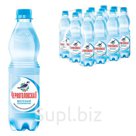 Вода негазированная минеральная «ЧЕРНОГОЛОВСКАЯ», 0,5 л, пластиковая бутылка