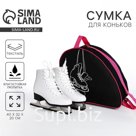 Сумка спортивная для коньков «Коньки», 40×32×20 см, чёрная