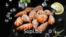 Креветка Шримс
Козырьковый