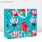 Пакет из нетканного материала 43 х 14 х 49 см