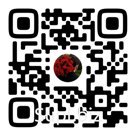 Цветы, сувениры, 3 д игрушки, гелевые шары