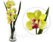 Decorative Cymbidium flowers in a vase. Size: 30x20x51 cm. Color: green + pink.