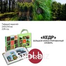 Большой иллюстрированный словарь "КЕДР"