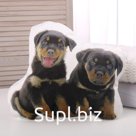 Мягкая игрушка-подушка «Ротвеллеры»