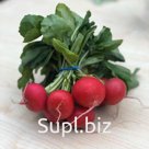 Редис
