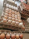 яйцо пищевое куриное
