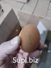 Яйцо С1 мытое