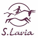 1403390 03 Сумка женская