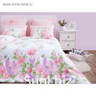 КПБ «Линда/1», 1,5 сп, размер 180 х 220, 140 х 205, 70 х 70 - 2 шт., бязь