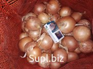 Ассортимент овощей