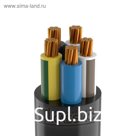 Кабель ВВГнг(А)-LS 5х25  Кабэкс, цена за метр