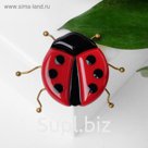 Брошь "Божья коровка" крупная, цвет красно-чёрный