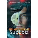 Книга «Виниловый ад», Степанов А.А.