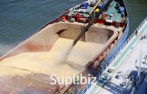 Продовольственная пшеница на Экспорт, урожай 2022 года