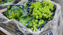 Виноград зелёный
