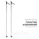 Палки лыжные алюминиевые Snowline, длина 120 см