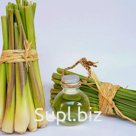 Масло лемонграсса натуральное, не смешанное !!
упаковка в 5 кг, 10 кг и 20 кг