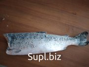 Горбуша потрошеная без головы-1 сорт