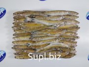 Корюшка н/р 23+ 1/20 Аргентина