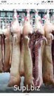 реализуем свинину полутуши охлажденная 1-я категория