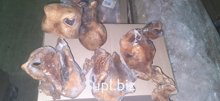 Губы говяжьи замороженные