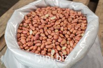 Арахис красный, сырой – Китай – мешок 25 кг