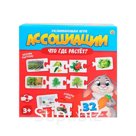 Развивающая игра «Ассоциации-цепочкой. Что где растет»